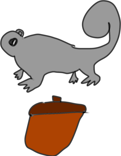 a grey squirrel and an acorn